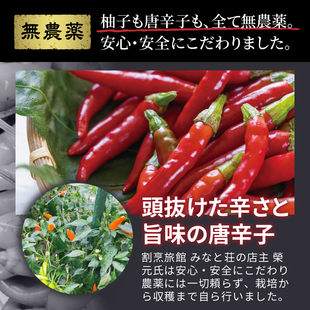 完熟柚子 4種類セット【京都 浜幸 生ゆず唐辛子】の画像9