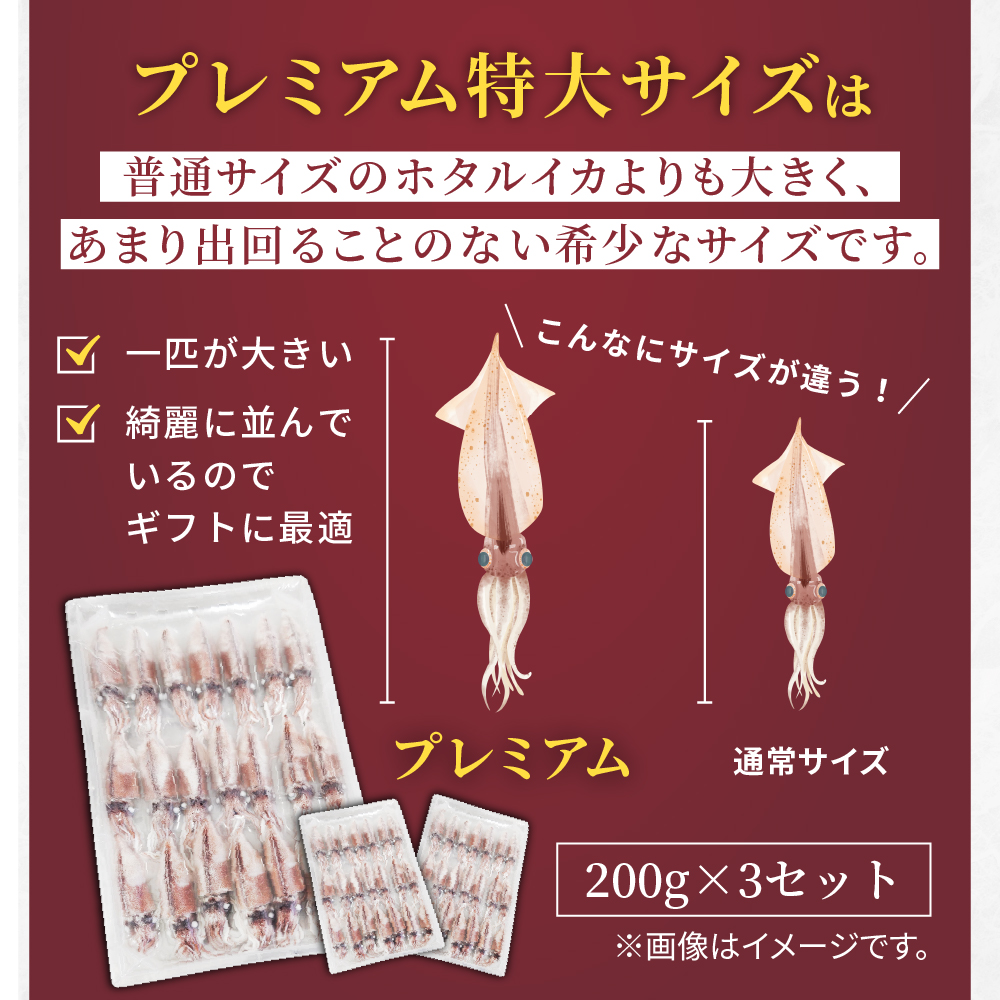 【新物】生ホタルイカの画像6