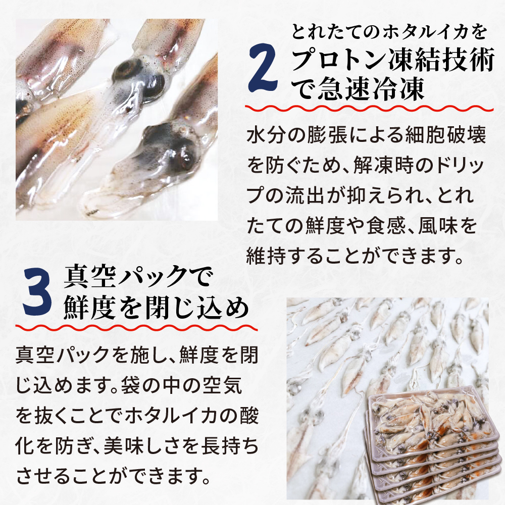 【新物】生ホタルイカの画像10