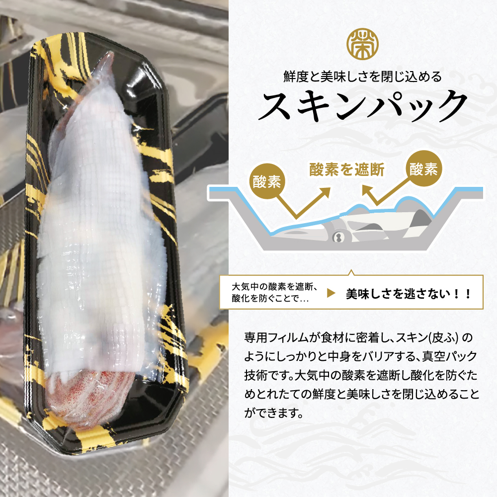 京白いかの姿造り Sサイズの画像14