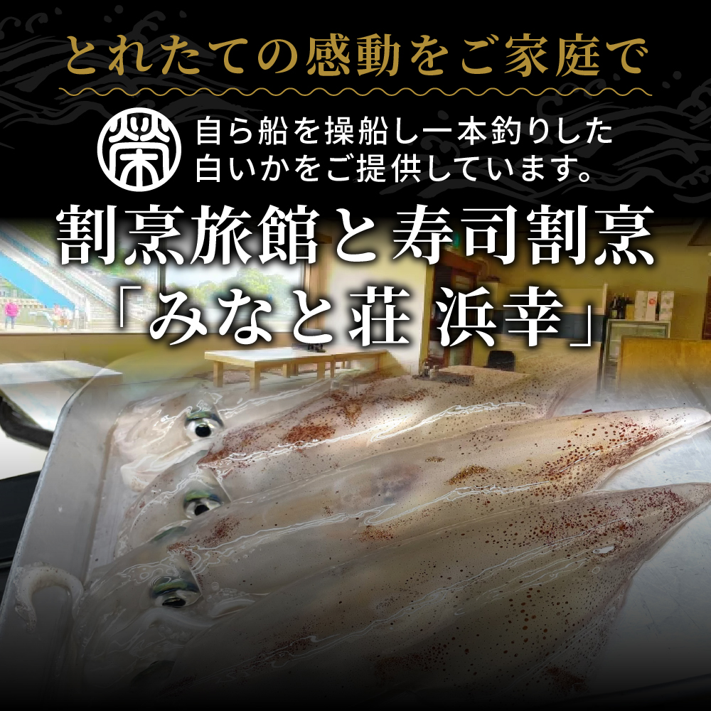 京白いかの姿造り Sサイズの画像6