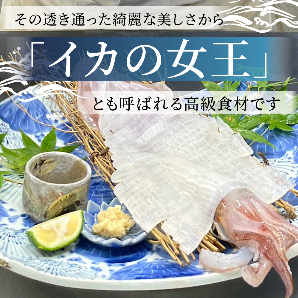 京白いかの姿造り Sサイズの画像9