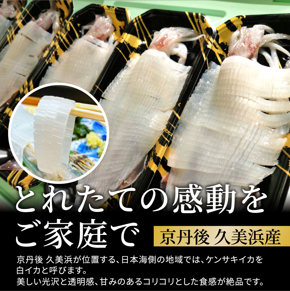 京白いかの姿造り Mサイズの画像3
