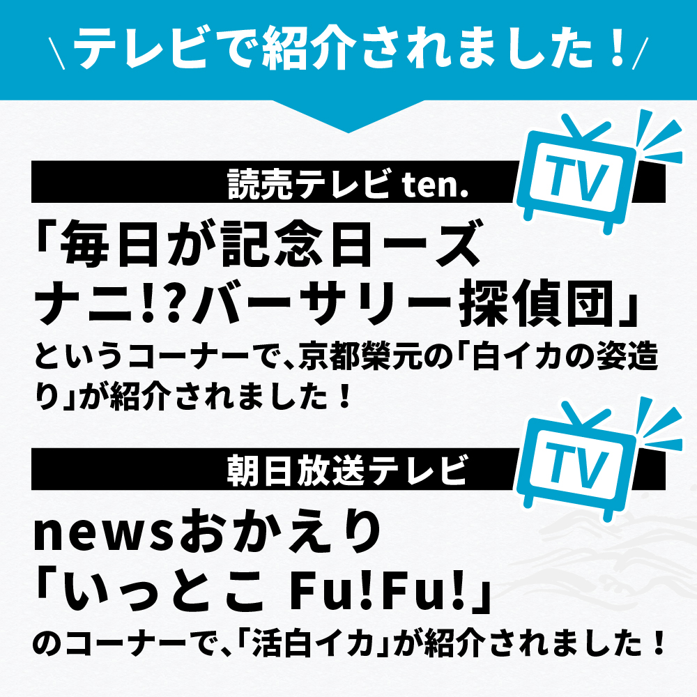 京白いかの姿造り Mサイズの画像4