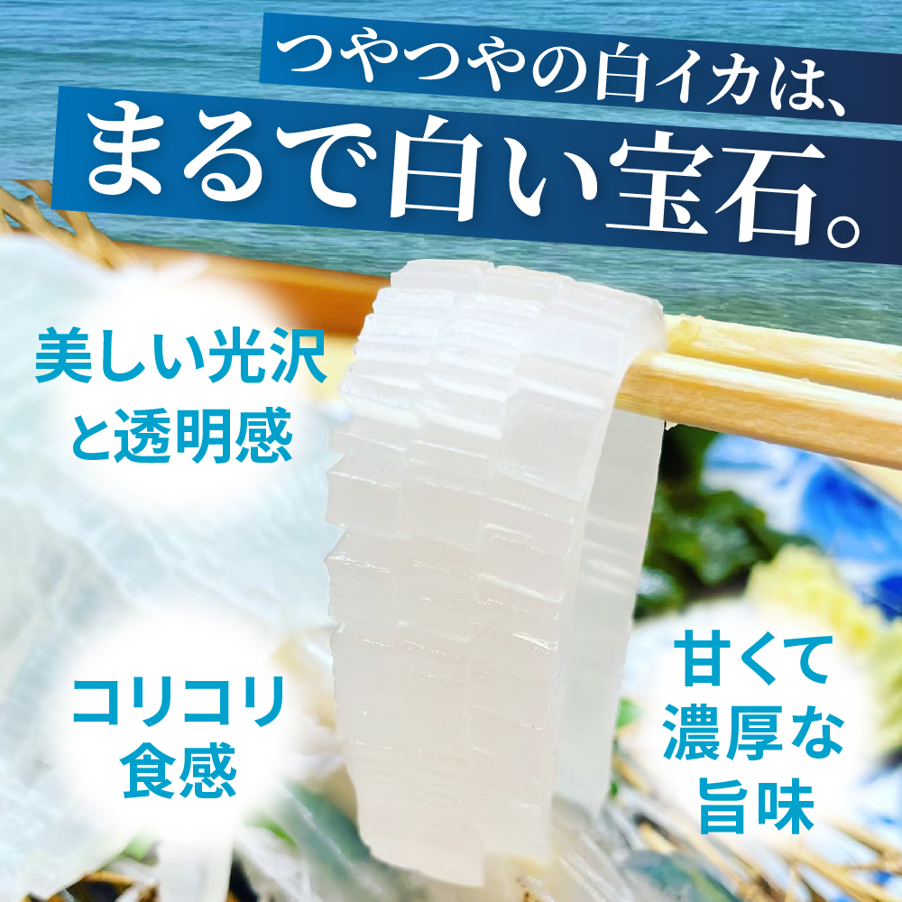 京白いかの姿造り Mサイズの画像8