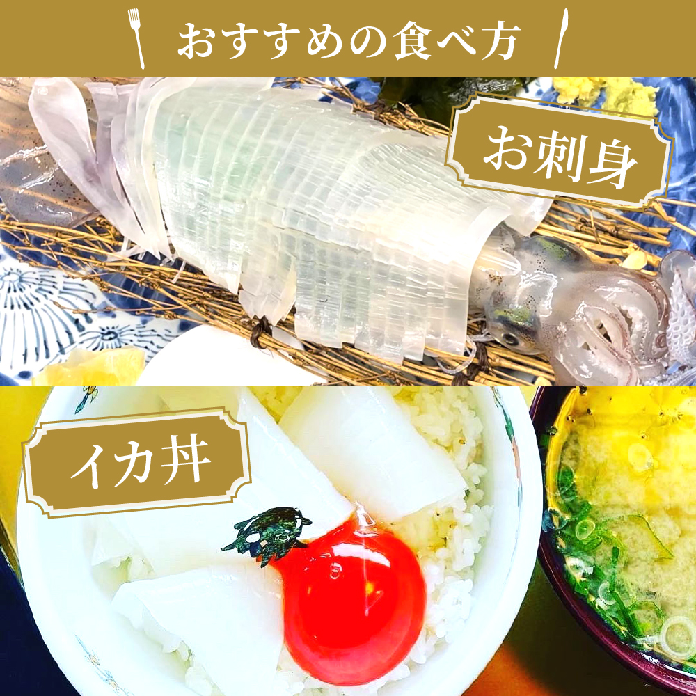 京白いかの姿造り Mサイズの画像18