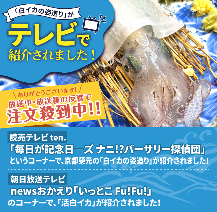 京白いかの姿造り Lサイズの画像2