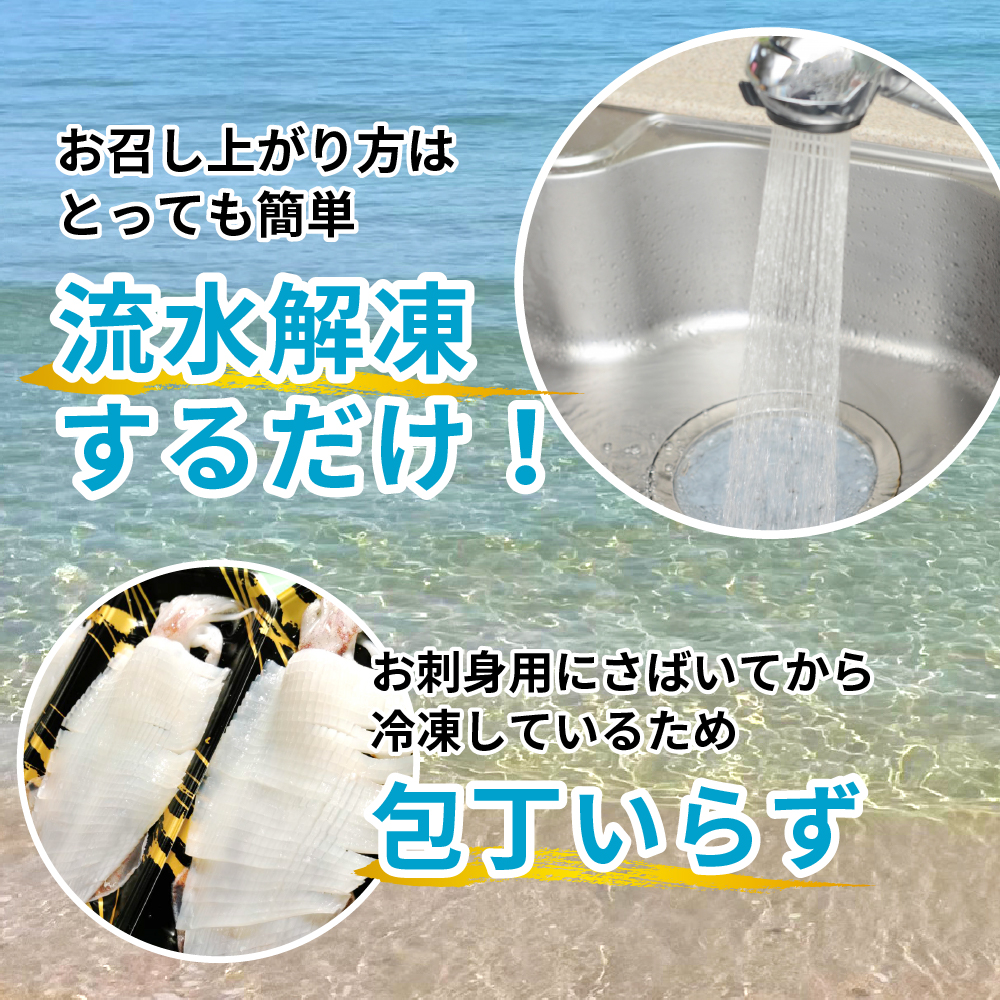 京白いかの姿造り Lサイズの画像16