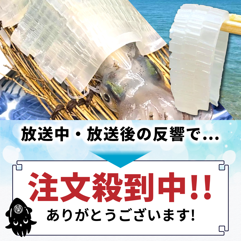 京白いかの姿造り LLサイズの画像5