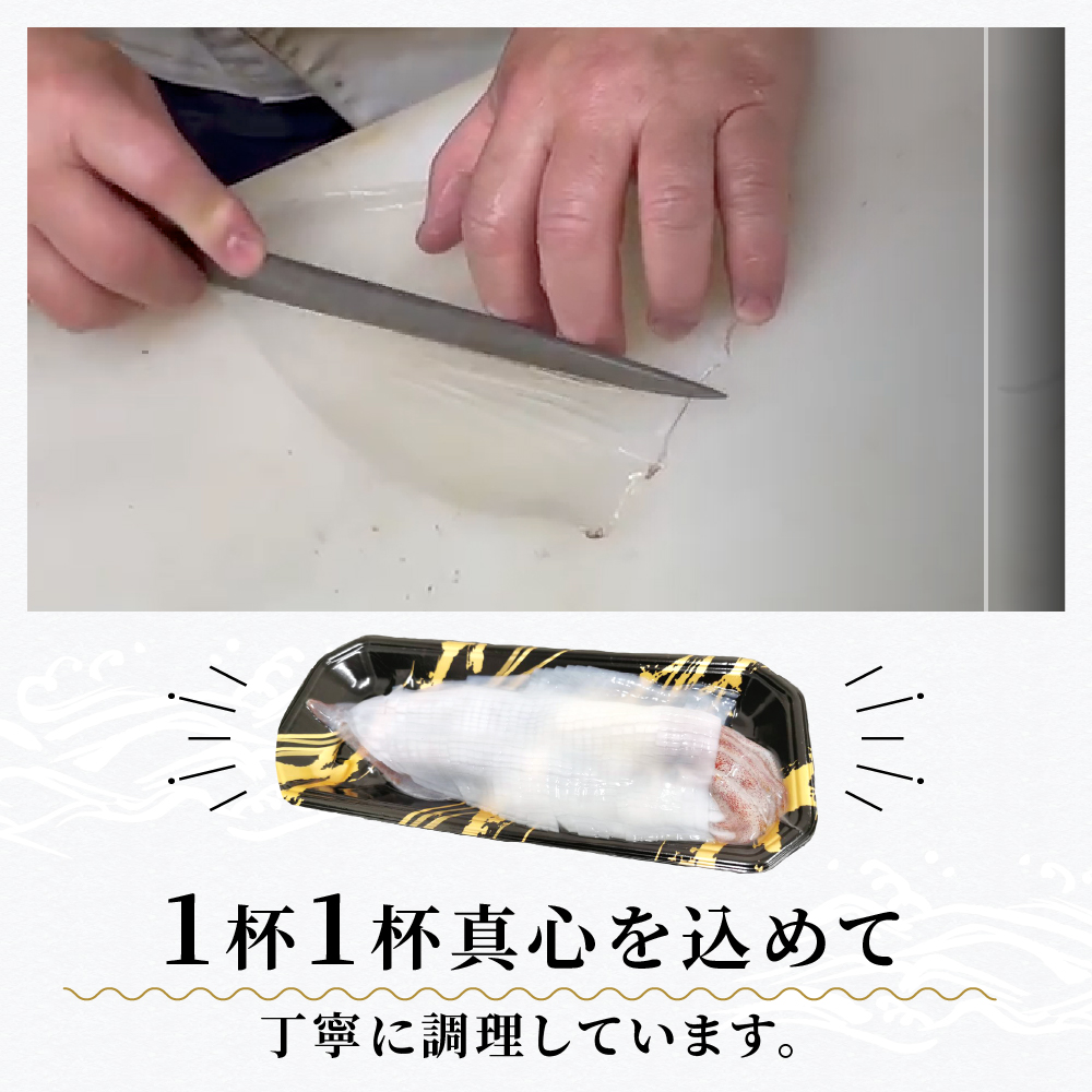 京白いかの姿造り LLサイズの画像13