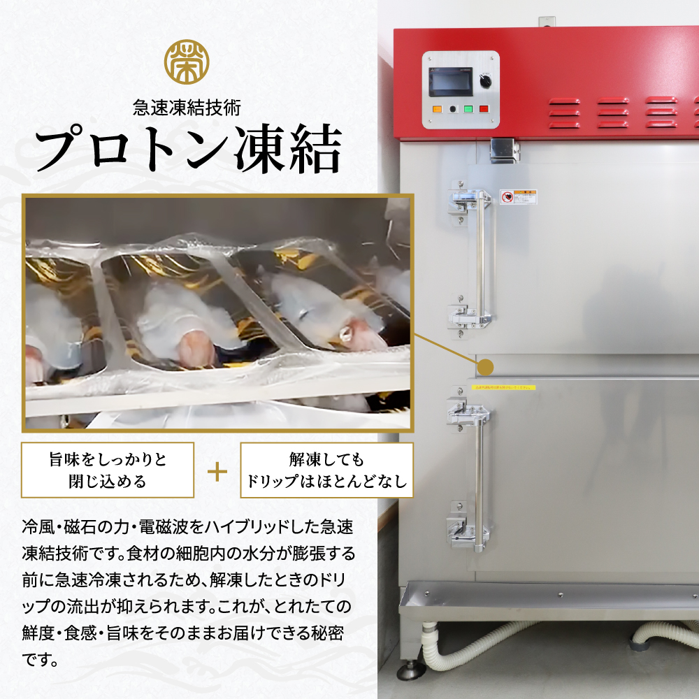 京白いかの姿造り LLサイズの画像15