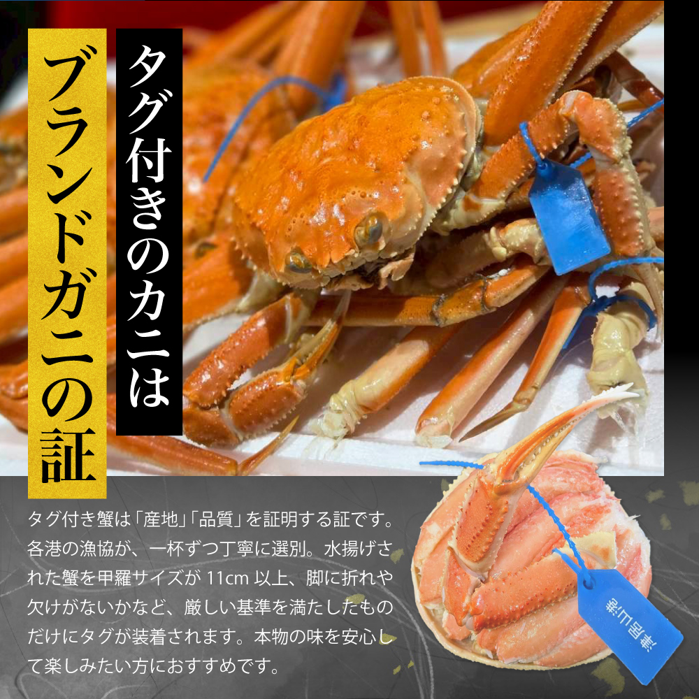タグ付き松葉ガニ甲羅盛りの画像2